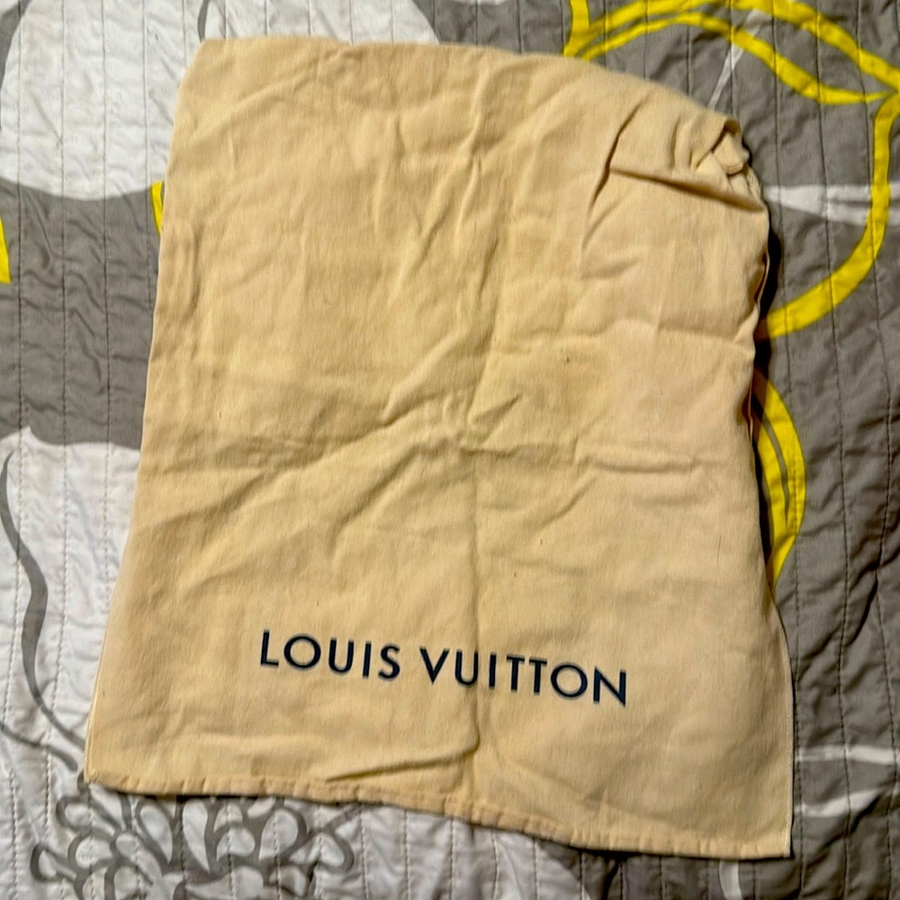 Louis Vuitton dust bag large